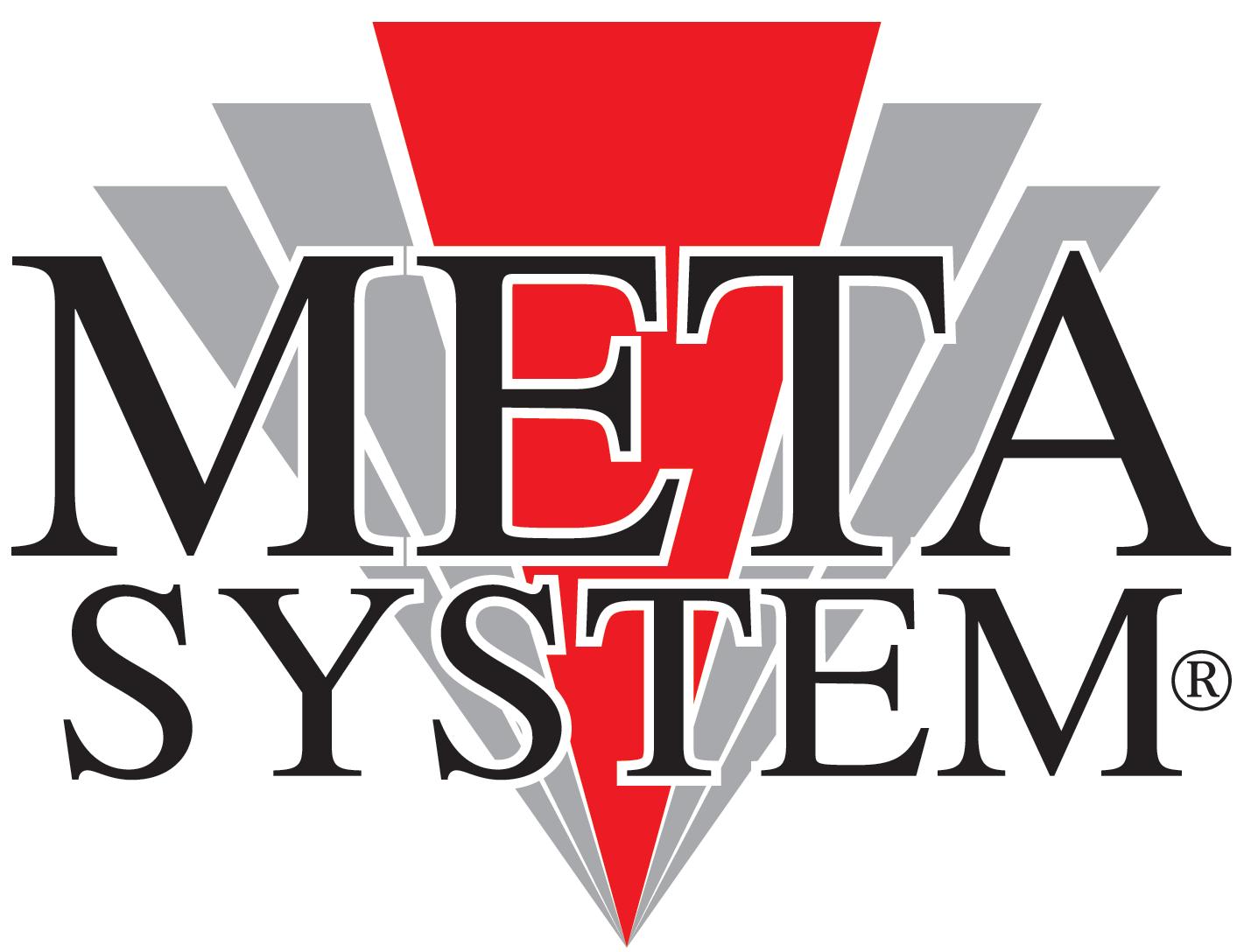 Meta System